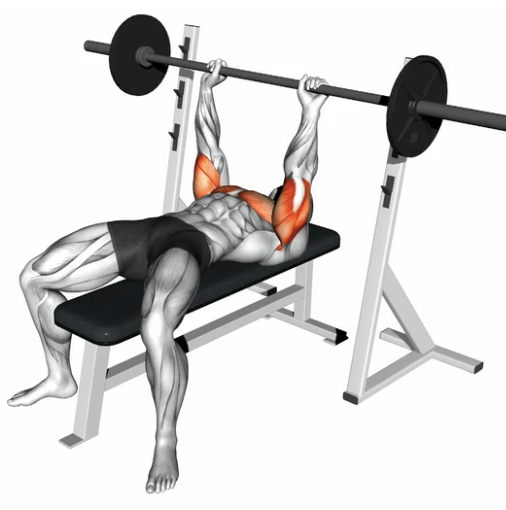 Close Grip Bench Press (Barbell) --- image unavailable