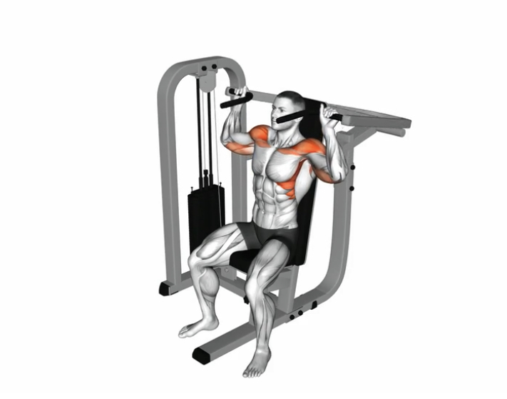 Shoulder Press (Machine) --- image unavailable