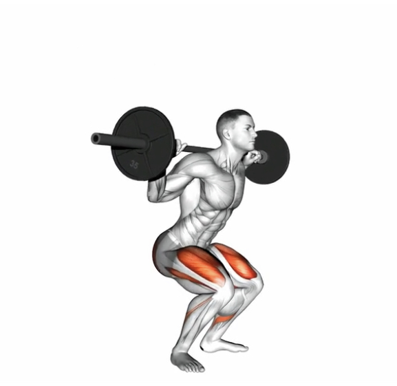 Barbell Squat --- image unavailable