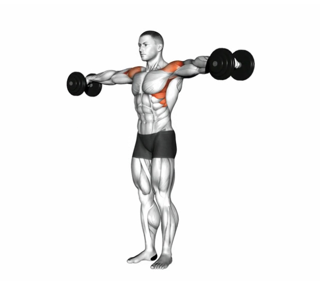 Lateral Raise (Dumbbell) --- image unavailable