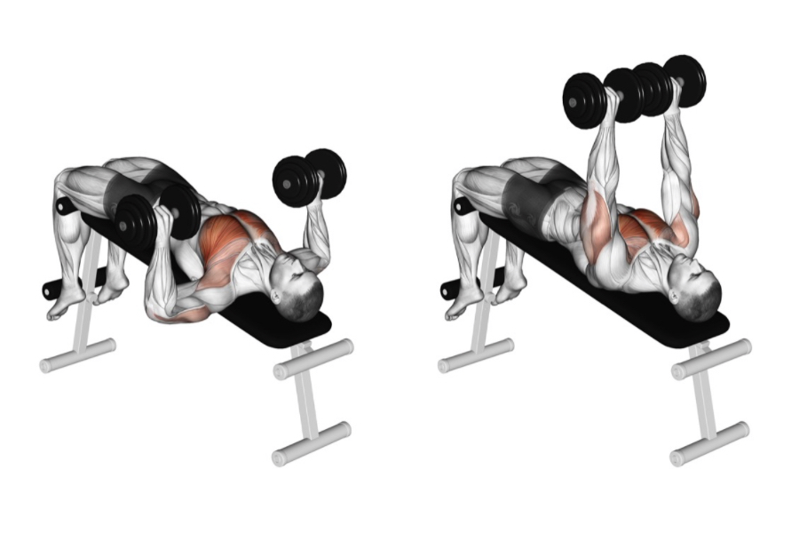 Decline Bench Press (Dumbbell) --- image unavailable