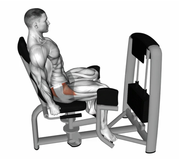 Hip Abductor --- image unavailable