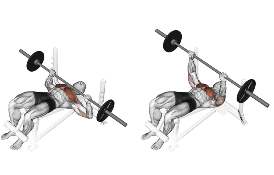 Decline Bench Press (barbell) --- image unavailable