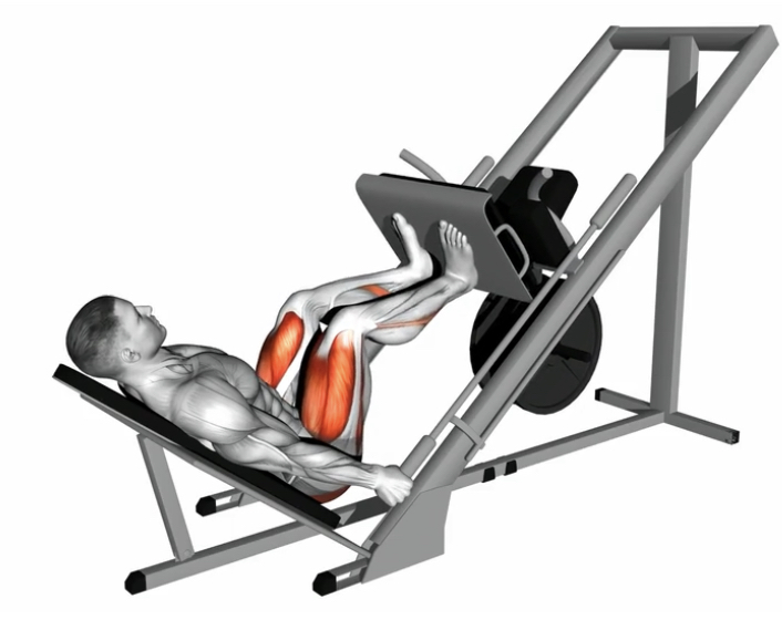 Leg Press (Plate loaded) --- image unavailable