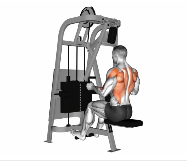 Seated Row (Machine) --- image unavailable