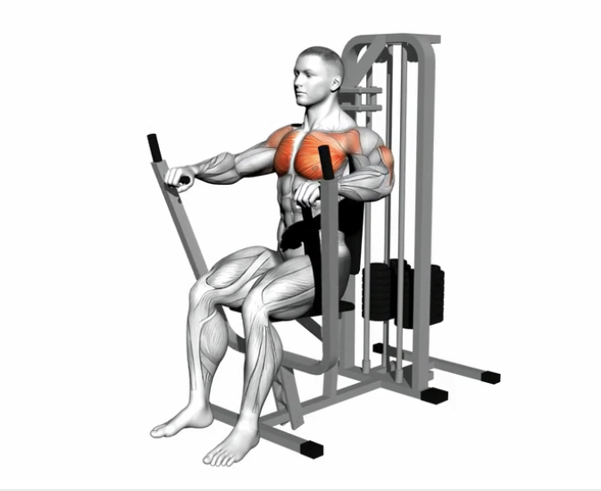 Chest Press (Machine) --- image unavailable