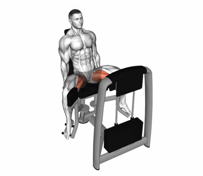 Hip adductor (Machine) --- image unavailable