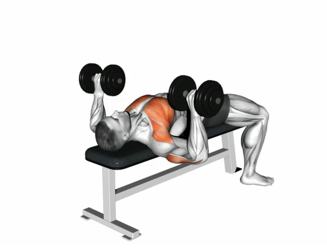 Flat Bench Press (dumbbell) --- image unavailable