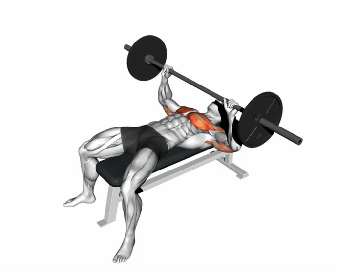 Bench Press (Barbell) --- image unavailable