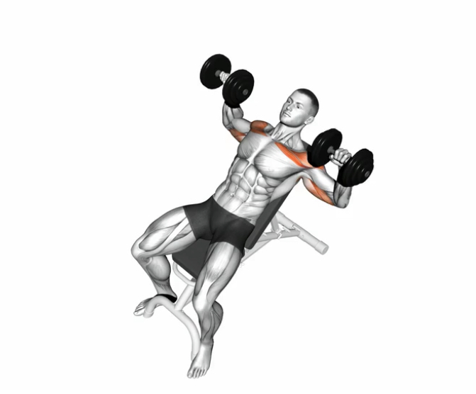 Incline Bench Press (dumbbell) --- image unavailable