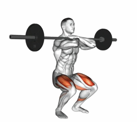 Front Squat (Barbell) --- image unavailable