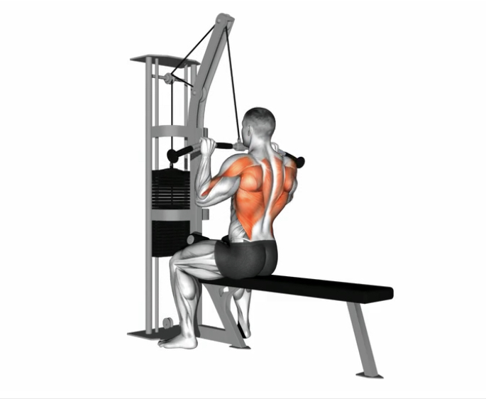 Lat pulldown (Cable) --- image unavailable