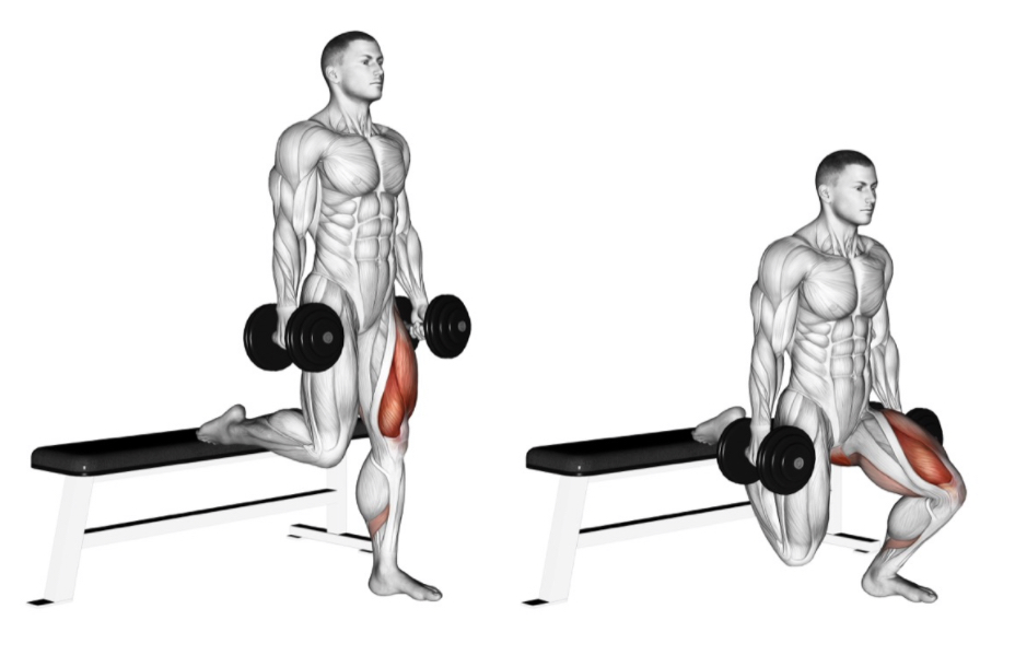 Bulgarian Split Squat --- image unavailable