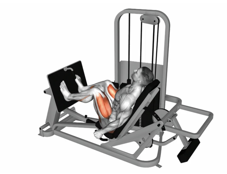 Seated leg press (Machine) --- image unavailable