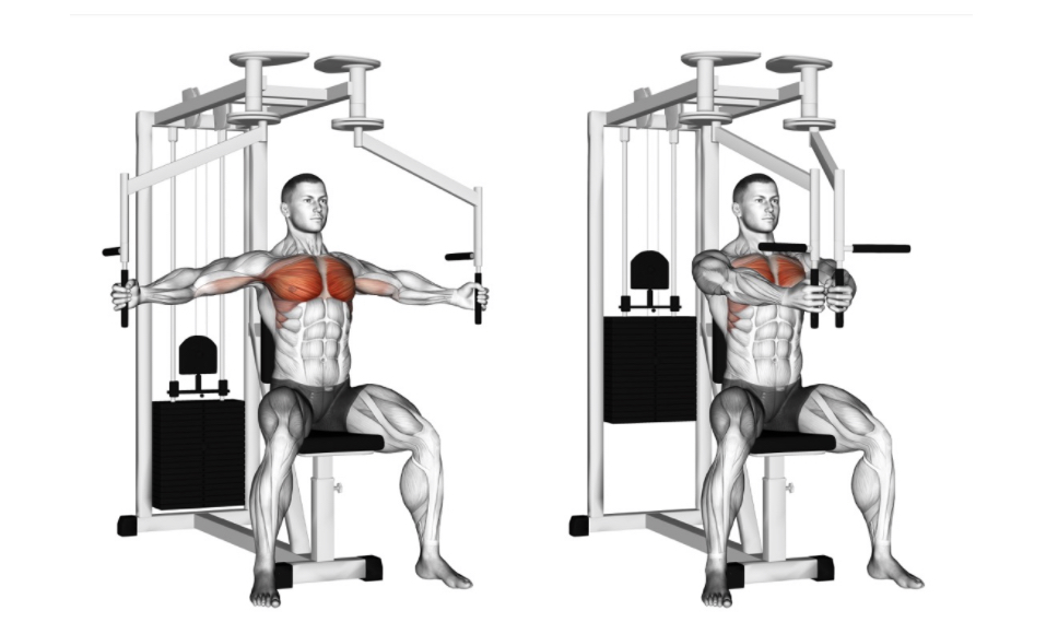 Chest Fly (Machine) --- image unavailable