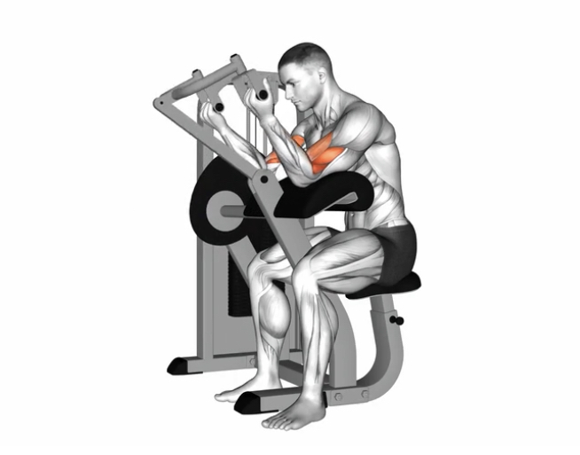 Preacher curl (Machine) --- image unavailable