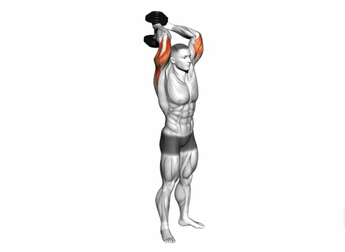 Tricep extension (Dumbbell) --- image unavailable