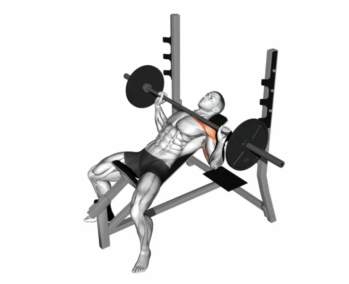 Incline Bench Press (barbell) --- image unavailable