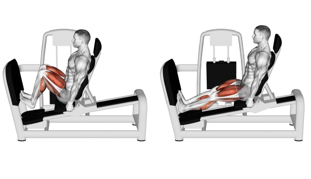 Calf Press --- image unavailable