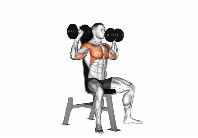 Overhead Shoulder press (Dumbbell) --- image unavailable