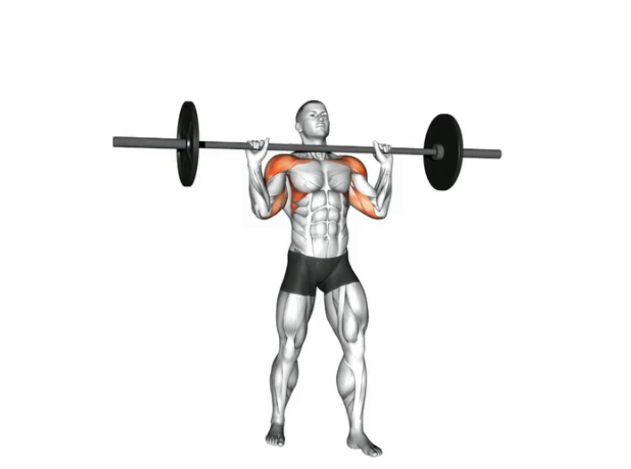 Overhead shoulder press (Barbell) --- image unavailable