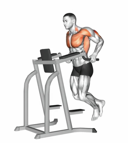 Triceps Dip --- image unavailable