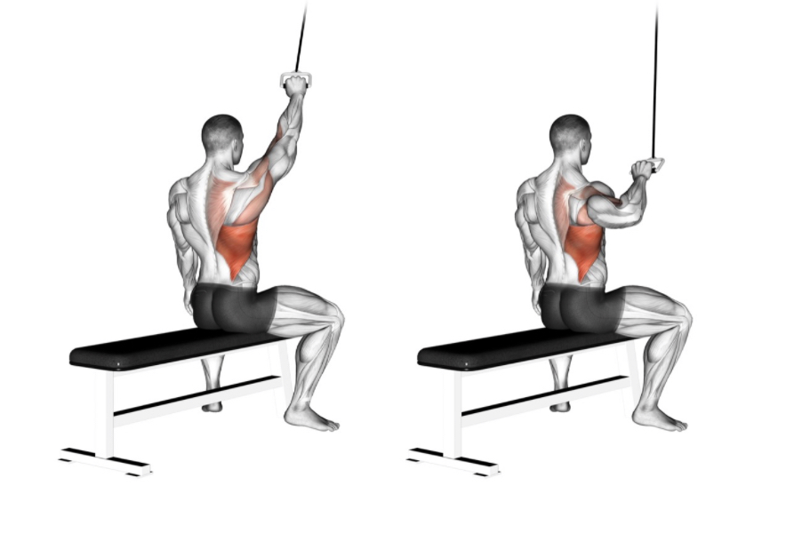 Lat Pulldown (Single Arm Cables) --- image unavailable