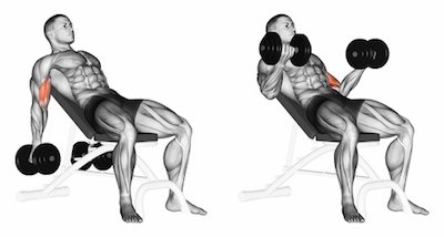 Incline curls (Dumbbell) --- image unavailable